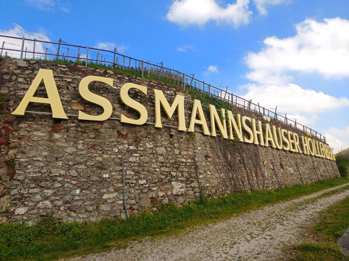 Pension Milberg Assmannshausen Рюдесхайм-на-Рейне Экстерьер фото