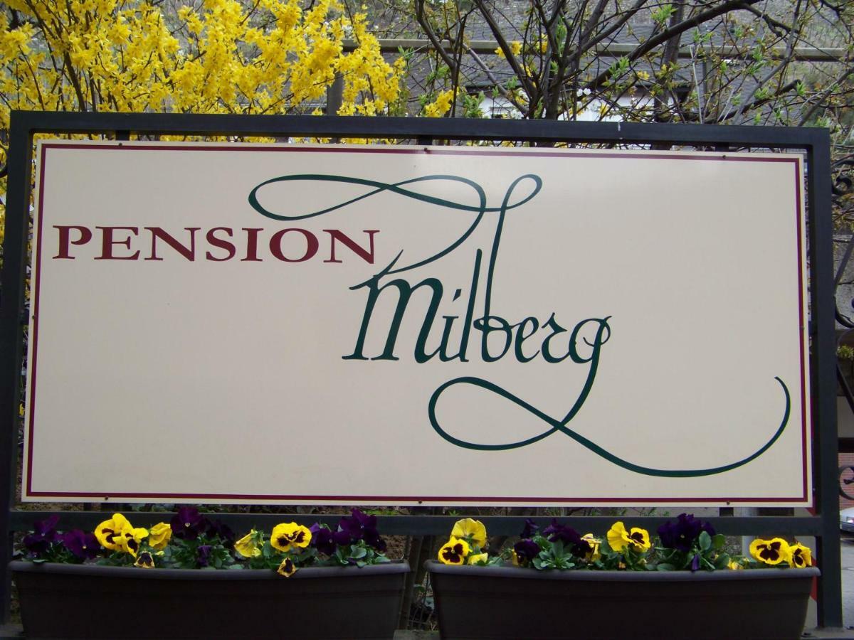 Pension Milberg Assmannshausen Рюдесхайм-на-Рейне Экстерьер фото