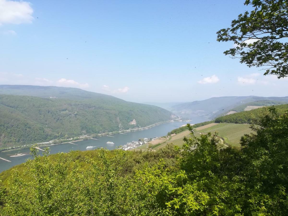 Pension Milberg Assmannshausen Рюдесхайм-на-Рейне Экстерьер фото